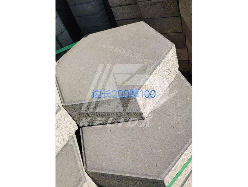 草坪磚護(hù)坡磚4